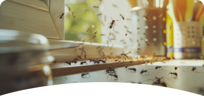General Pest <span> Control </span>